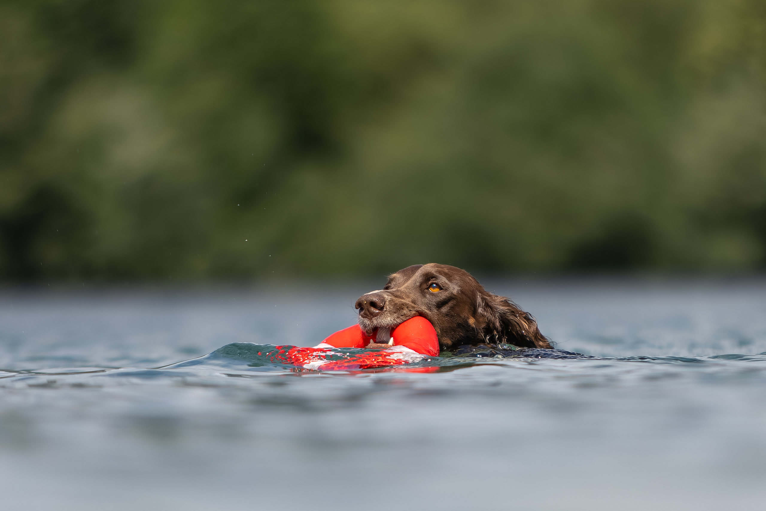 PQ9A2045 CR3 DxO DeepPRIME